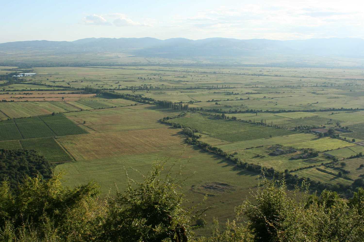 <span style="font-weight: bold;">Кахетия 1&nbsp;</span><br>